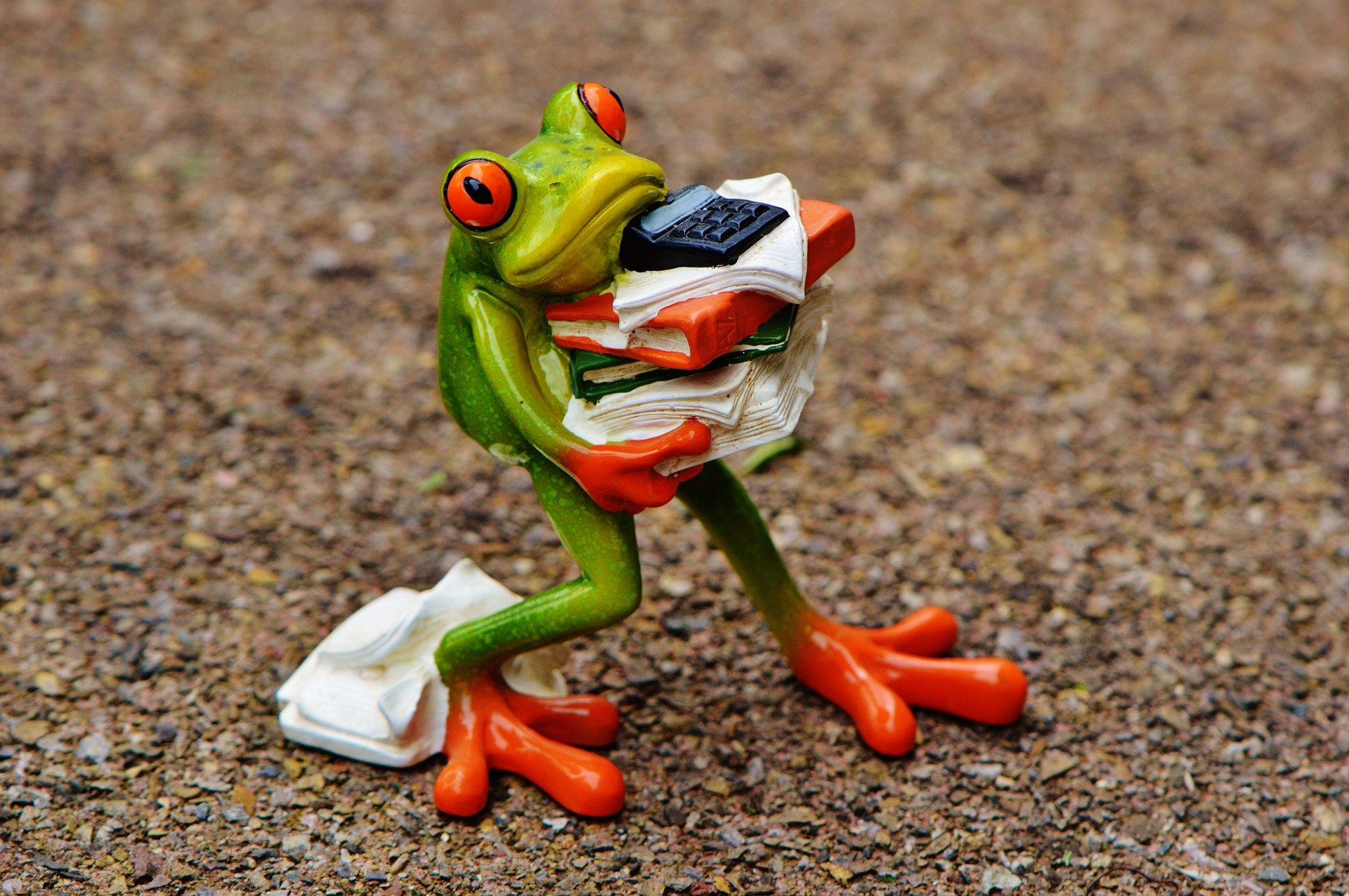 Die Tiere (und der Frosch) danken es: Mehr Nachhaltigkeit am Arbeitsplatz. Foto: Alexas_Fotos/pixabay.com
